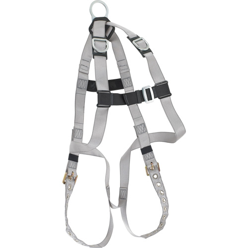 Dynamic B-Compliant Economy Harness, CSA Certified, Class AE, 310 lbs. Cap. Nia-Chem Ltd.