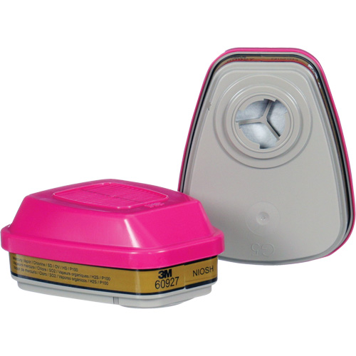 Cartouche, Combinaison cartouche et filtre contre les particules pour gaz/vapeurs, Gaz multiples/Vapeurs/P100 Nia-Chem Ltd.