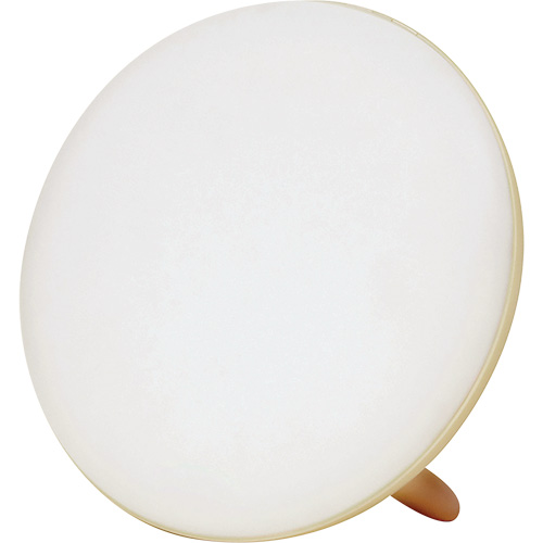 Lampe &agrave; luminoth&eacute;rapie pour le traitement de la d&eacute;pression saisonni&egrave;re Nia-Chem Ltd.