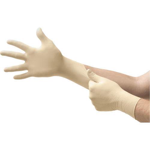 MICROFLEX&reg; Ultra One&reg; Examination Gloves, 10/9.5/X-Large, Latex, 9.8-mil, Powder-Free, Natural, Class 2 Nia-Chem Ltd.