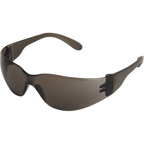 X300 Lunettes de s&eacute;curit&eacute;, Lentille Fum&eacute;e, Anti-&eacute;gratignures, ANSI Z87+/R&eacute;pond ou surpasse la norme CSA Z94.3 Nia-Chem Ltd.