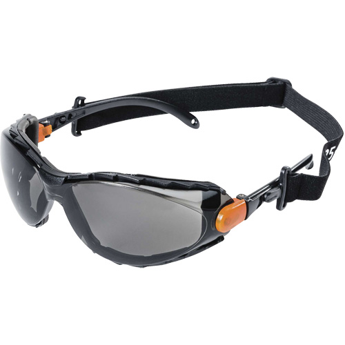 XPS502 Sealed Safety Glasses, Smoke Lens, Anti-Fog/Anti-Scratch Nia-Chem Ltd.