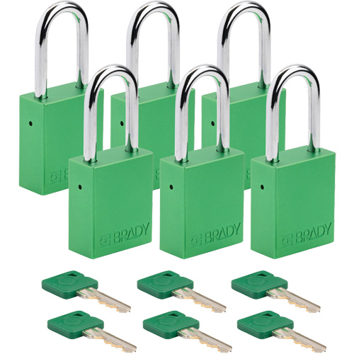 Lockout Padlock, Safety Padlock, Keyed Different, Aluminum, 1-1/2" Width Nia-Chem Ltd.