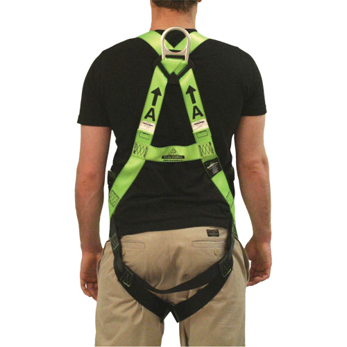 FBH-10000L Contractor Series Safety Harness, CSA Certified, Class AL, 400 lbs. Cap. Nia-Chem Ltd.