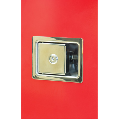 Armoires ext&eacute;rieures robustes pour extincteurs, 14" la x 28" h x 10" p Nia-Chem Ltd.