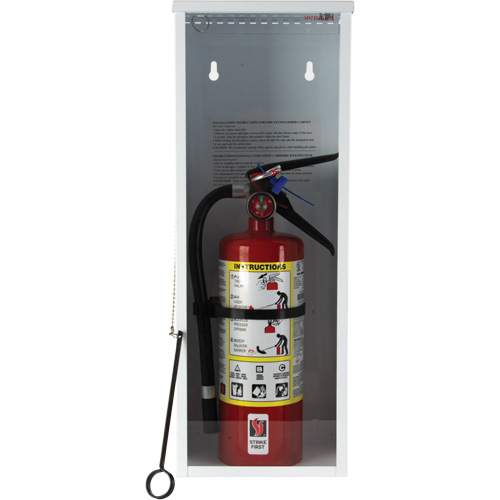 Armoire d'usage l&eacute;ger pour extincteur, 8" la x 22" h x 6" p Nia-Chem Ltd.
