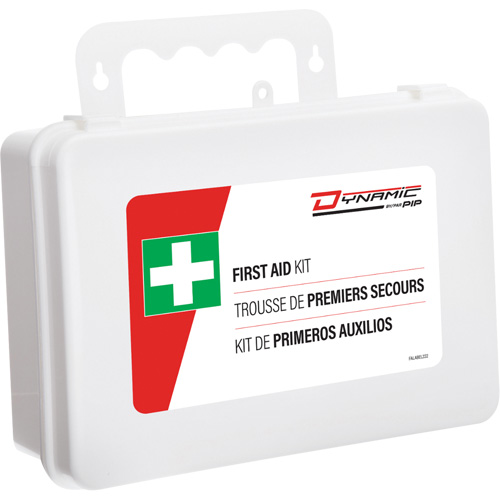 Dynamic First Aid Kit, Meets/Exceeds CSA Z1220-24 Type 2 Low-Risk Environment, Large (51-100 Workers) Nia-Chem Ltd.