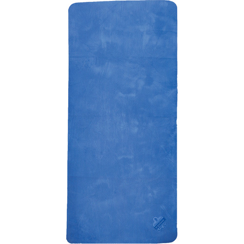 Chill-Its 6601 Economy Evaporative Cooling Towel, Blue Nia-Chem Ltd.