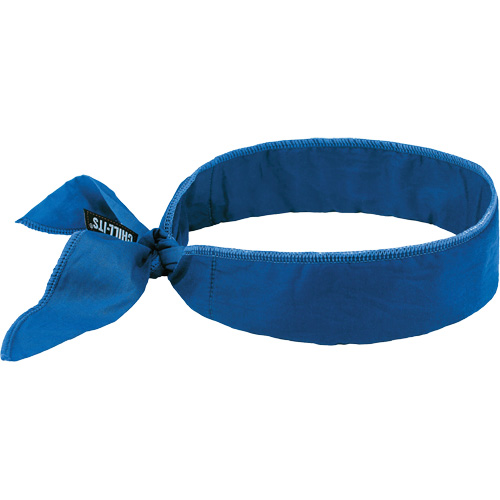 Chill-Its 6702 Cooling Headband with Embedded Polymers & Tie Closure, Blue Nia-Chem Ltd.
