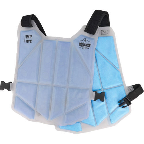 Chill-Its 6210 Phase Change Cooling Vest, One Size, Blue Nia-Chem Ltd.