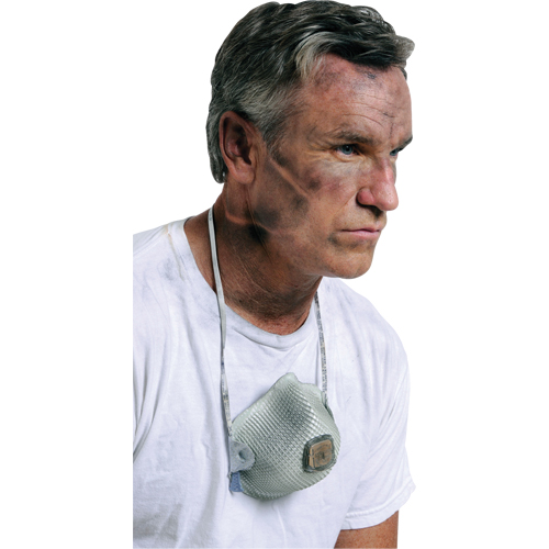 2700 Particulate Respirators, N95, NIOSH Certified, Large/Medium Nia-Chem Ltd.