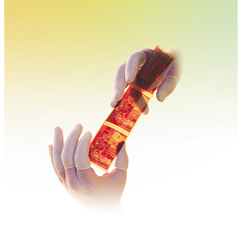 Doigtiers en latex poudr&eacute;s QRP Nia-Chem Ltd.