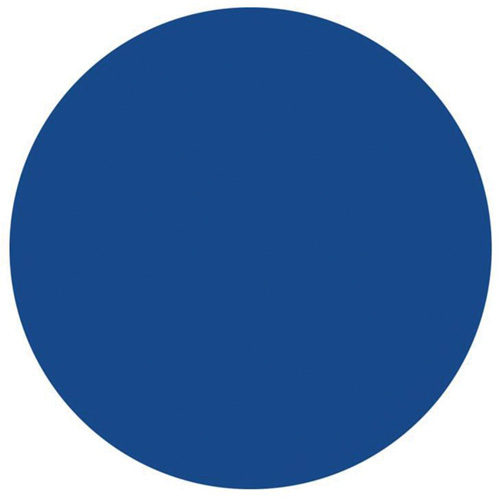 Round Write-On Labels, Circle, 1.5" L x 1.5" W, Blue Nia-Chem Ltd.