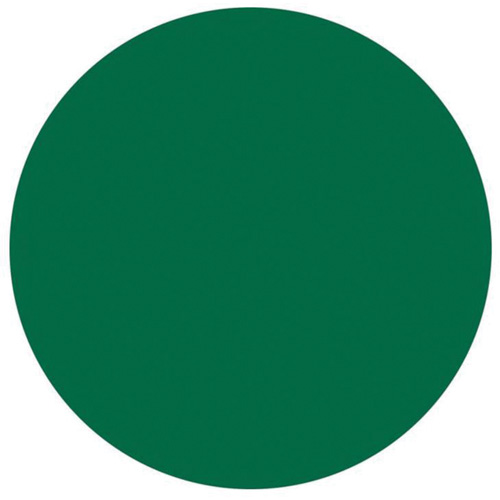 Round Write-On Labels, Circle, 3" L x 3" W, Green Nia-Chem Ltd.