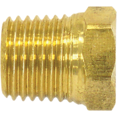 Bouchon de tuyau (t&ecirc;te hexagonale), 1/8" dia., Laiton Nia-Chem Ltd.