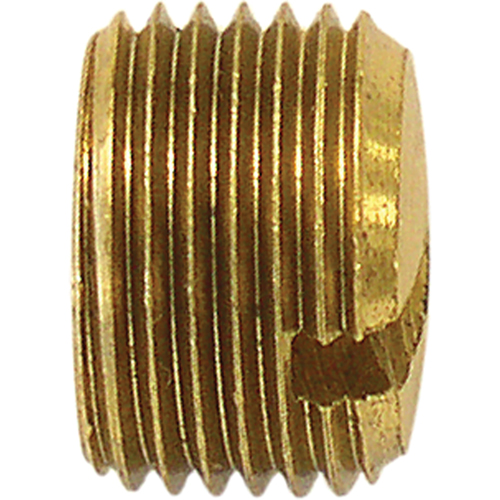 Bouchon de tuyau (avec fentes), 1/4" dia., Laiton Nia-Chem Ltd.