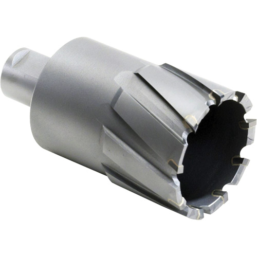 Outil de coupe annulaire, Diam&egrave;tre de 27,5 mm, Carbure, Profondeur de la coupe de 4" Nia-Chem Ltd.