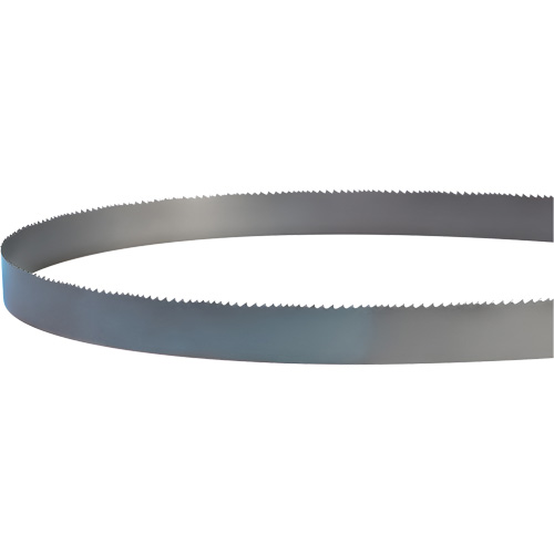 Welded Bandsaw Blade, Bi-Metal, 14' L x 1" W x 4 - 6 TPI Nia-Chem Ltd.