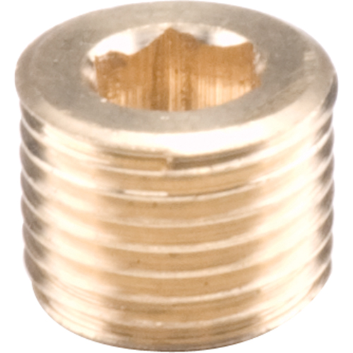 Bouchons de tuyau - Creux hexagonal, 1/8" Nia-Chem Ltd.