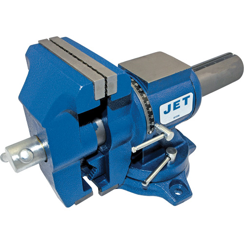 Multi-Purpose Heavy-Duty Vise, 5" Jaw Width, 3" Throat Depth Nia-Chem Ltd.