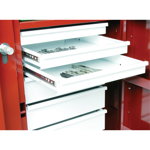Rolling Work Bench, 49-7/8" W x 40-5/8" H x 26-7/8" D, 24.6 Cubic Feet Capacity Nia-Chem Ltd.