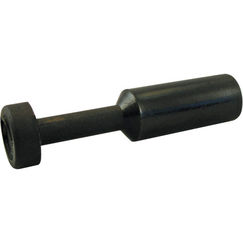 BOUCHON P.T.C. Nia-Chem Ltd.