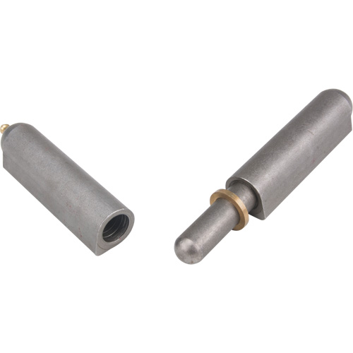 Weld-On Hinge, 0.906" Dia. x 7.874" L, Mild Steel w/Fixed Steel Pin Nia-Chem Ltd.