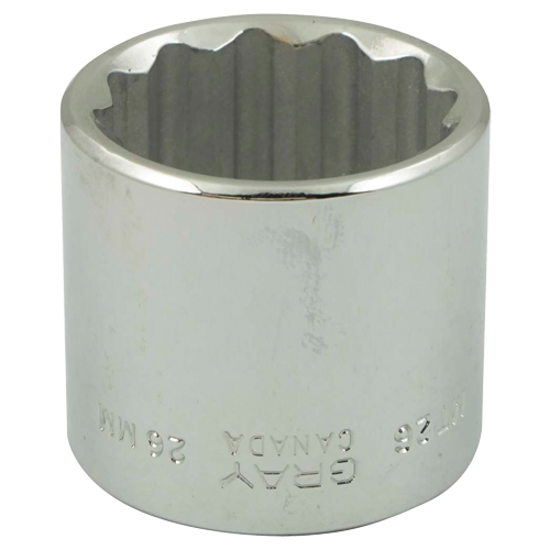 Douille, 6 mm, Prise 3/8", 12 pans Nia-Chem Ltd.