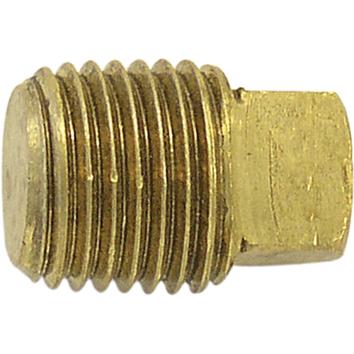 Bouchon de tuyau (t&ecirc;te carr&eacute;e), 1/8" dia., Laiton Nia-Chem Ltd.