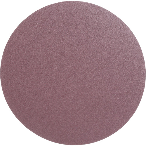 PSA Cloth Disc 348D, 12" Dia., 60 Grit, Aluminum Oxide, X-Weight Nia-Chem Ltd.
