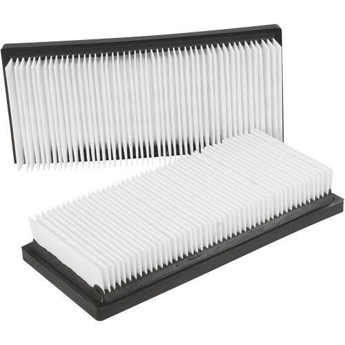 Filtres plats principaux, Cartouche, Pour 12 gal. US Nia-Chem Ltd.