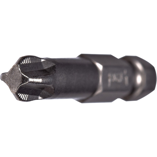 ACR&reg; Power Bit, Phillips, #2 Tip, 1/4" Drive Size, 2" Length Nia-Chem Ltd.