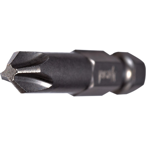 Embout pour outil &eacute;lectrique, Phillips, Embout #2, Prise 1/4", Longueur 2-3/4" Nia-Chem Ltd.