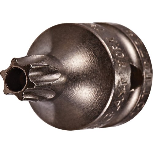 Embout &agrave; ins&eacute;rer, Torx inviolable, 8 x 3/4" lo, Prise 1/4" Nia-Chem Ltd.