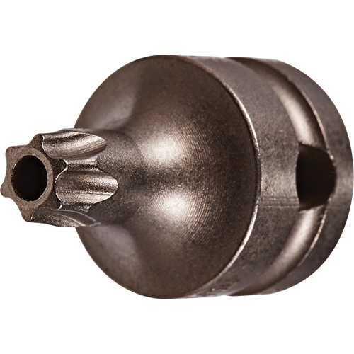 Embout &agrave; ins&eacute;rer, Torx inviolable, 25 x 1" lo, Prise 3/8" Nia-Chem Ltd.