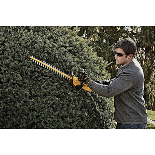 Max Cordless Hedge Trimmer, 22", 20 V, Battery Powered Nia-Chem Ltd.