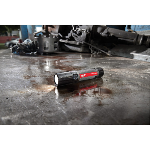 Lampe de poche compacte compatible USB, DEL, 800 lumens, Piles Rechargeable Nia-Chem Ltd.