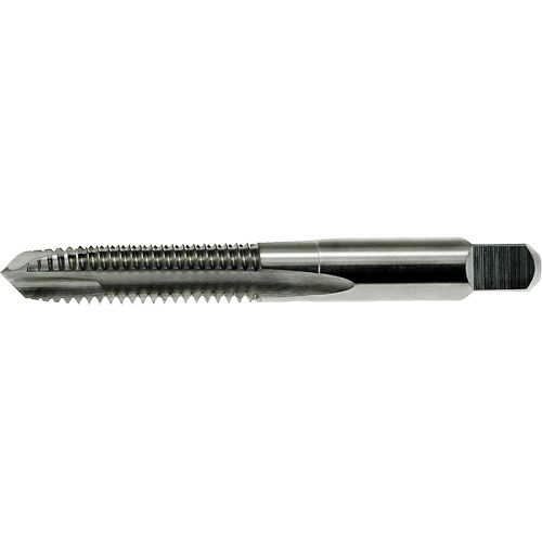 Taraud &agrave; pointe spiral&eacute;e Drillco, Acier rapide, Filet de M6x1 Nia-Chem Ltd.