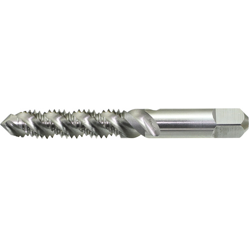 DRILLCO Spiral Flute Hand Tap, High Speed Steel, 1/4"-20 Thread Nia-Chem Ltd.
