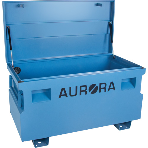 Jobsite Tool Box, 48" x 24" x 27-3/5", Steel, Blue Nia-Chem Ltd.