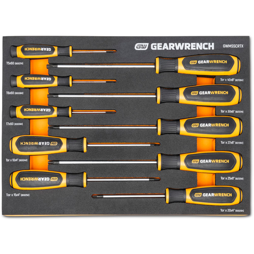 Jeu de tournevis bimat&eacute;riau Torx dans un plateau de rangement en mousse, 10 mcx Nia-Chem Ltd.