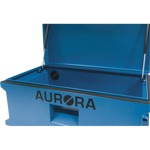 Coffre &agrave; outils de chantier, 33" x 20-3/10" x 18-3/10", Acier, Bleu Nia-Chem Ltd.