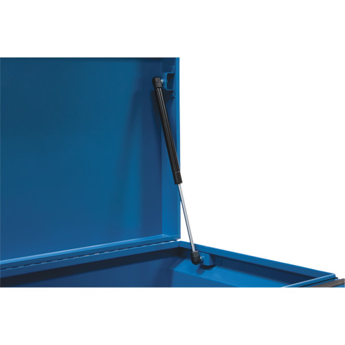 Coffre &agrave; outils de chantier, 33" x 20-3/10" x 18-3/10", Acier, Bleu Nia-Chem Ltd.