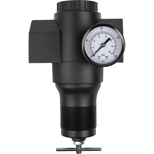 Aluminum Regulator, 1-1/2" NPT, 300 psi Max. PSI, In Line Nia-Chem Ltd.