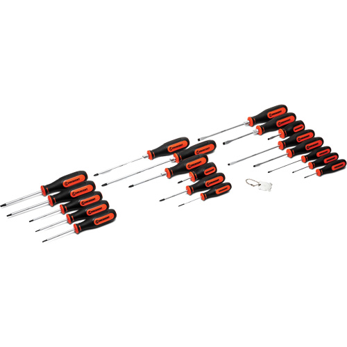 Dual Material Screwdriver Set, 20 Pcs. Nia-Chem Ltd.