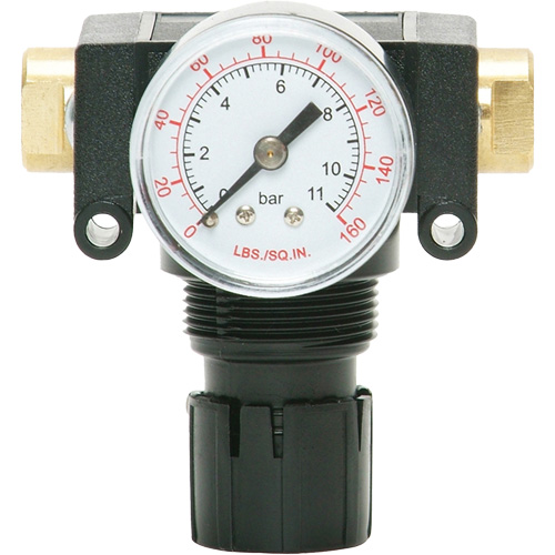 MODULAIR 200 Acetal Piston Regulator, 1/4" NPT, 150 PSI Max. PSI, In Line/Modular Nia-Chem Ltd.