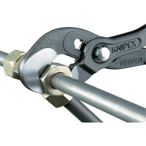 Pince Raptor, 10" Nia-Chem Ltd.