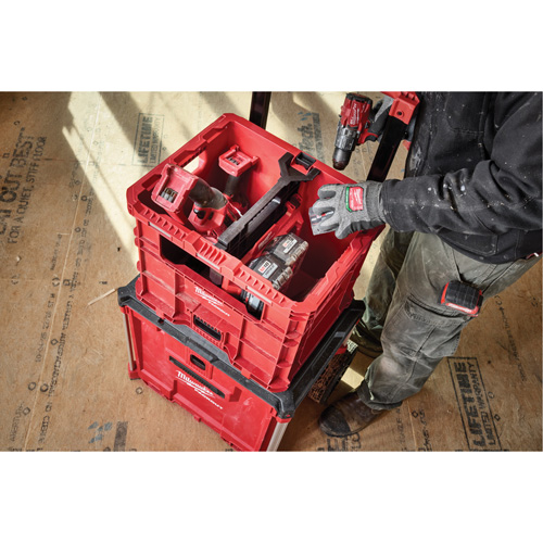 PACKOUT XL Crate, 15-3/4" x 18-5/8" x 15", Black/Red Nia-Chem Ltd.
