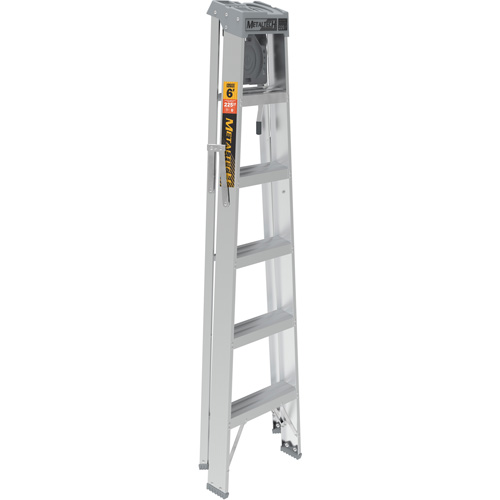 Step Ladder with Paint Tray, 6', Aluminum, 225 lbs. Capacity, Type 2 Nia-Chem Ltd.