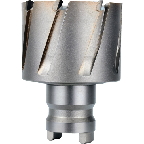 Fraise avec tenon &agrave; changement rapide Drive Hawg, Diam&egrave;tre de 2", Acier, Profondeur de la coupe de 1" Nia-Chem Ltd.